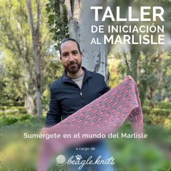 Taller de Iniciación al...