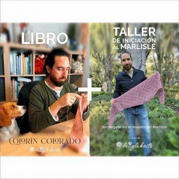 Taller Iniciación al...